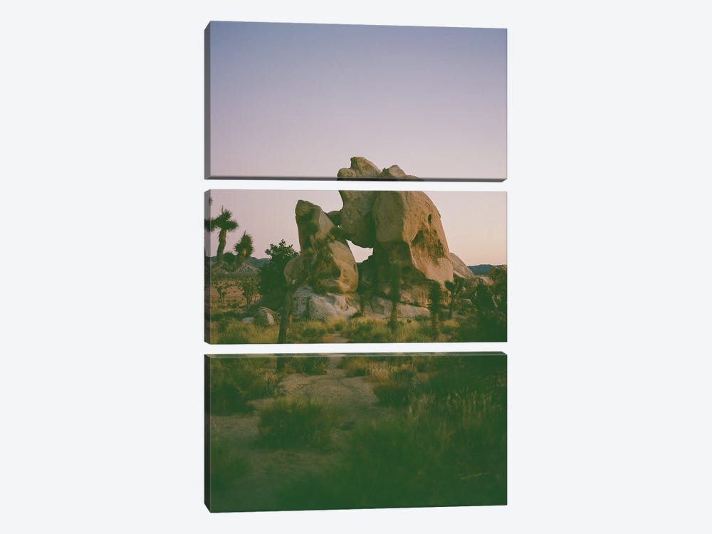 Joshua Tree Twilight On Film by Bethany Young 3-piece Canvas Print