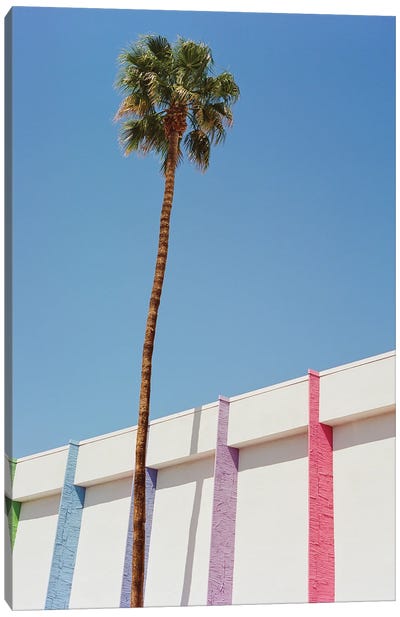 Palm Springs II On Film Canvas Art Print - Novelty City Scenes