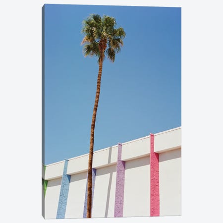 Palm Springs II On Film Canvas Print #BTY1641} by Bethany Young Canvas Art Print