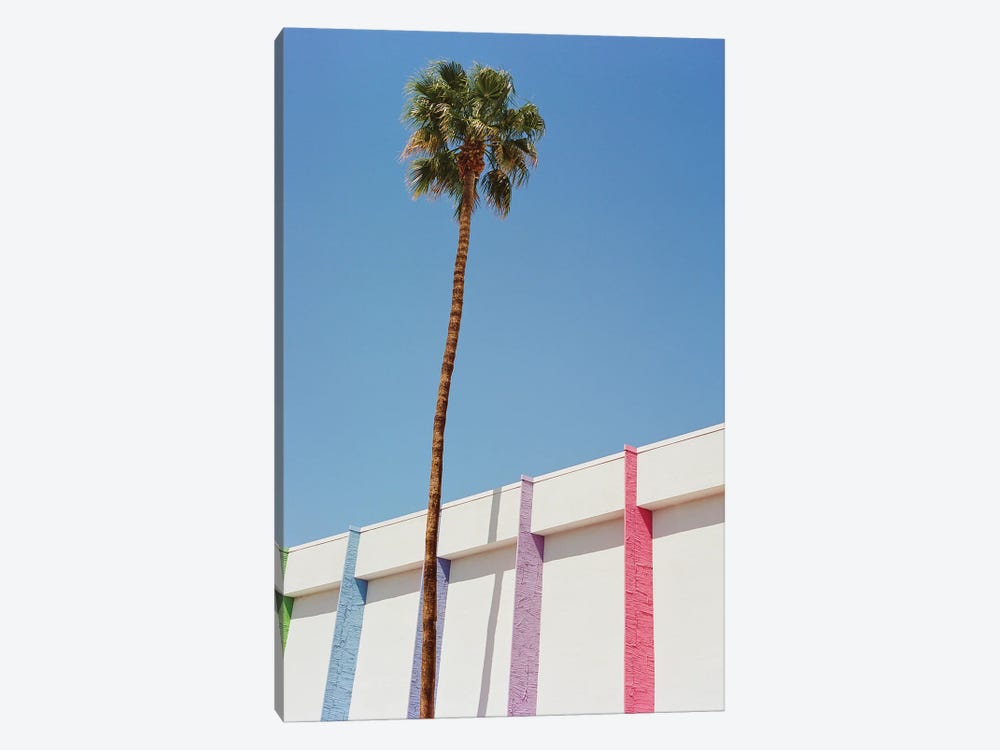 Palm Springs II On Film by Bethany Young 1-piece Canvas Wall Art