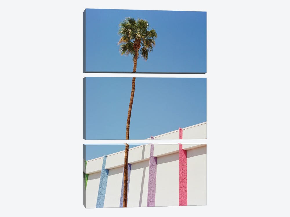 Palm Springs II On Film by Bethany Young 3-piece Canvas Artwork
