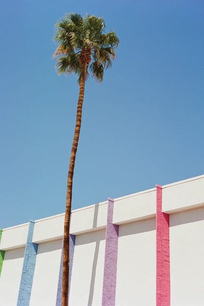 Novelty City Scenes: Palm Springs II On Film by Bethany Young