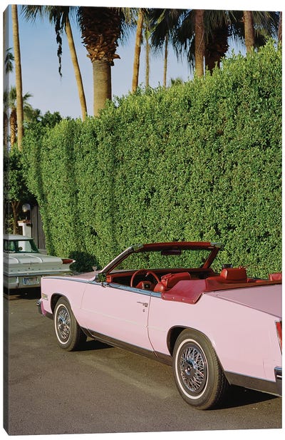 Pink Cadillac IV On Film Canvas Art Print - Celery