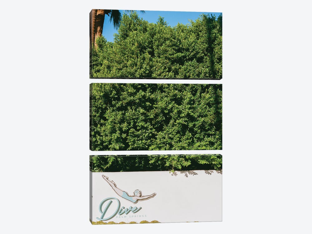 Palm Springs Dive On Film by Bethany Young 3-piece Canvas Print