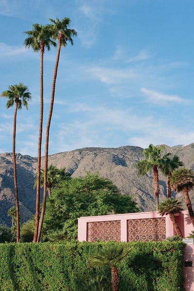 Fine Art Print: Palm Springs Pink House On Film by Bethany Young