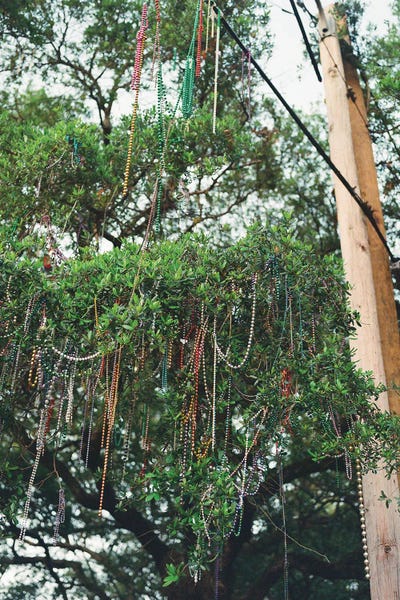 Louisiana: New Orleans Beads II On Film by Bethany Young