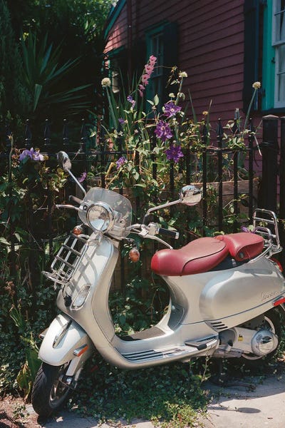 New Orleans: New Orleans Ride IV On Film by Bethany Young