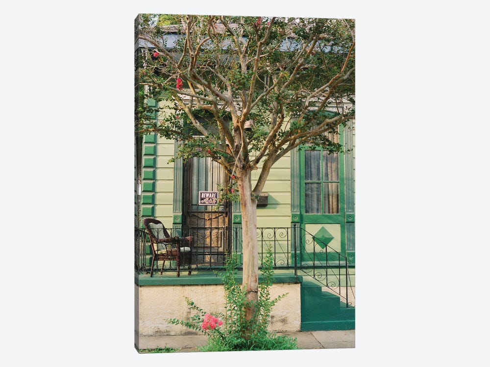 New Orleans Cat On Film by Bethany Young 1-piece Art Print