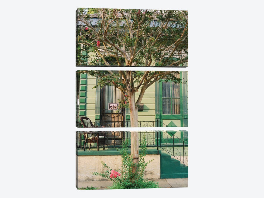 New Orleans Cat On Film by Bethany Young 3-piece Canvas Print