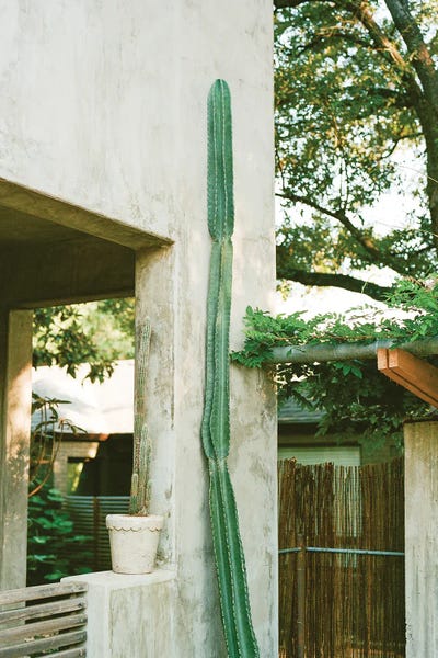 Fine Art Print: Austin Texas On Film by Bethany Young