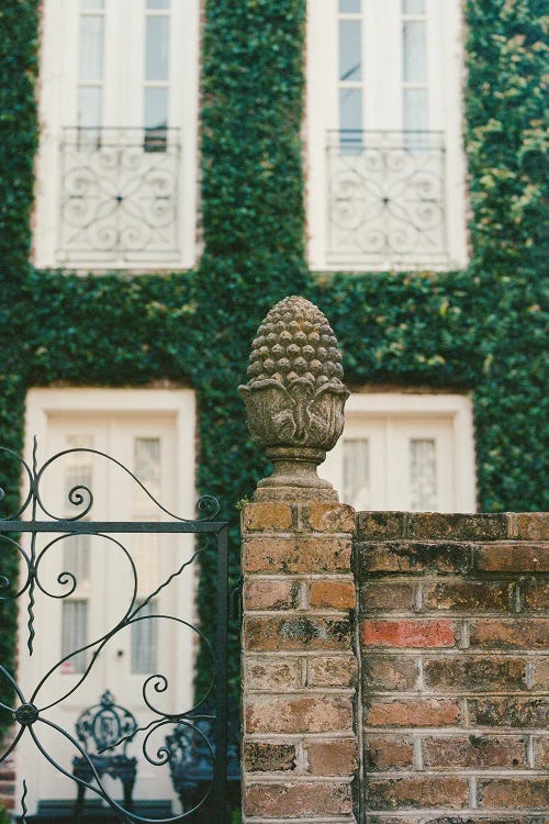 Charleston Architecture VII On Film