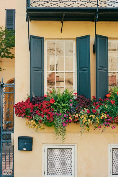 South Carolina: Charleston Architecture On Film by Bethany Young