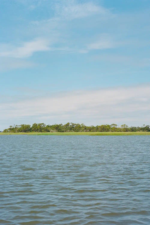 South Carolina Summer by Bethany Young wall art
