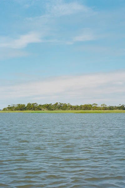 South Carolina: South Carolina Summer by Bethany Young