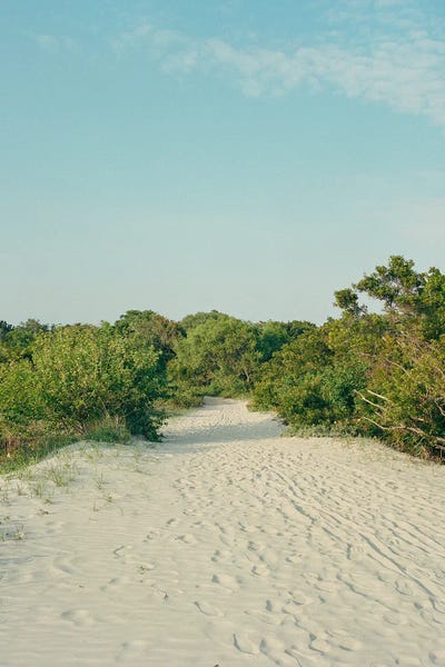 South Carolina: Sullivan's Island On Film by Bethany Young