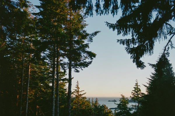 Oregon: Oregon Coast Sunset by Bethany Young