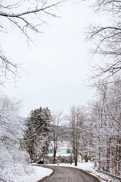Canvas Print: Upstate New York Snow IV by Bethany Young