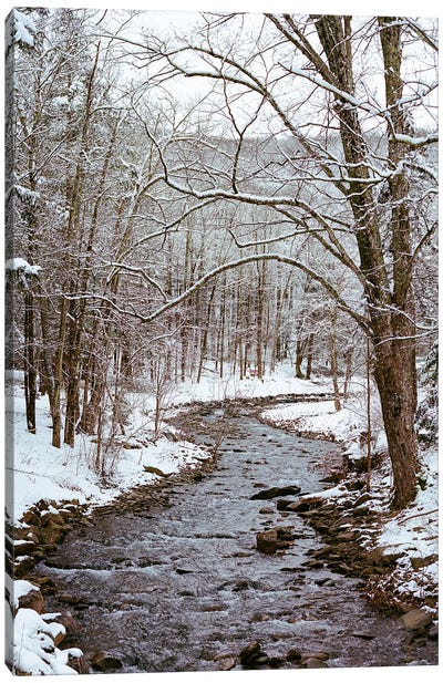 Upstate New York Snow XII Canvas Art Print - Bethany Young