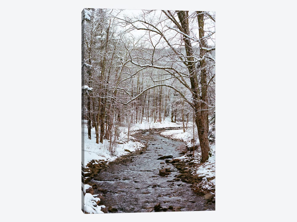 Upstate New York Snow XII by Bethany Young 1-piece Canvas Artwork