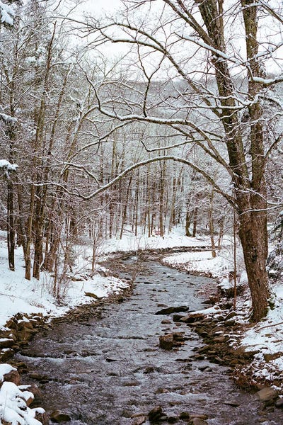 Canvas Print: Upstate New York Snow XII by Bethany Young