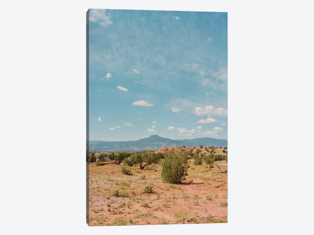 Ghost Ranch III by Bethany Young 1-piece Art Print
