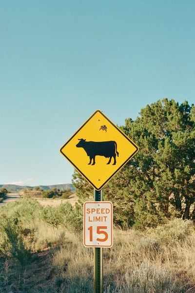 New Mexico: Ghost Ranch XI by Bethany Young