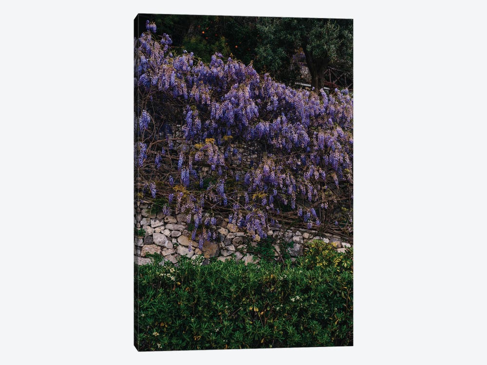 Amalfi Coast Blooms V by Bethany Young 1-piece Canvas Wall Art