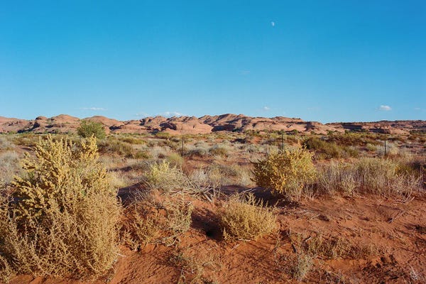 New Mexico: Navajo Nation VI by Bethany Young