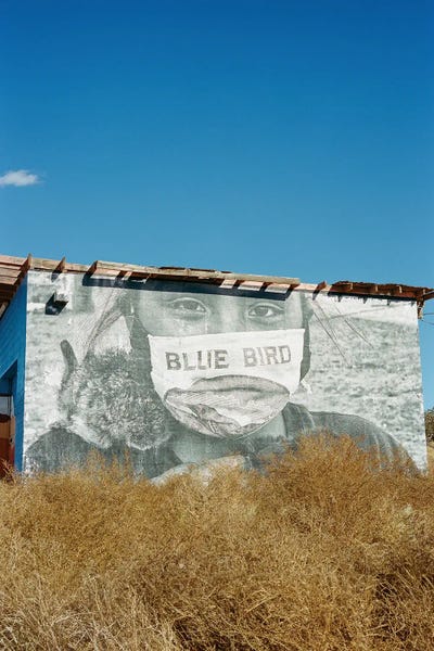 New Mexico: Navajo Nation VII by Bethany Young