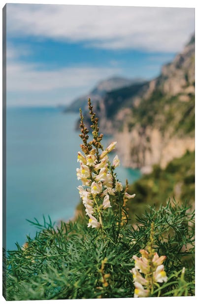 Amalfi Coast Blooms I Canvas Art Print - Amalfi Coast Art