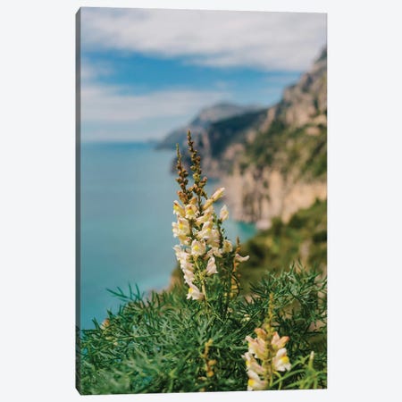 Amalfi Coast Blooms I Canvas Print #BTY186} by Bethany Young Canvas Art Print