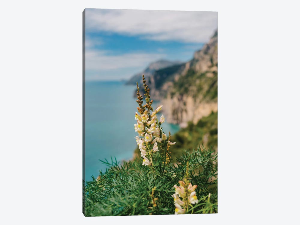 Amalfi Coast Blooms I by Bethany Young 1-piece Canvas Art Print