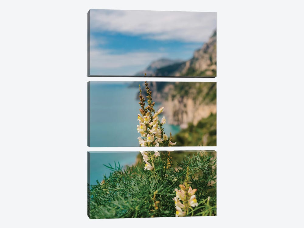 Amalfi Coast Blooms I by Bethany Young 3-piece Canvas Print