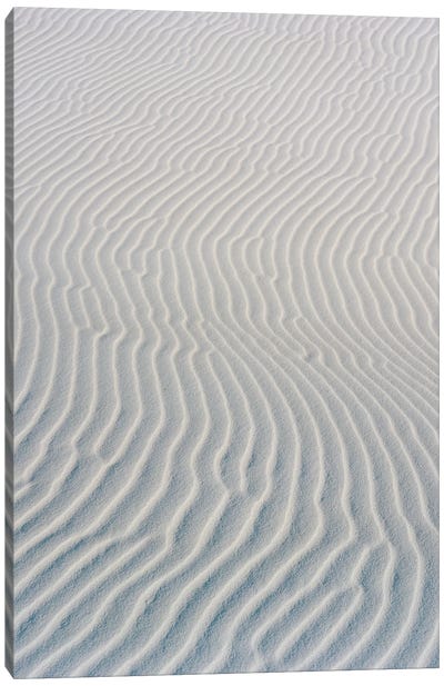 White Sands New Mexico II Canvas Art Print - Bethany Young