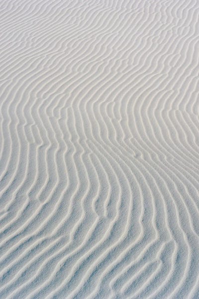 New Mexico: White Sands New Mexico II by Bethany Young
