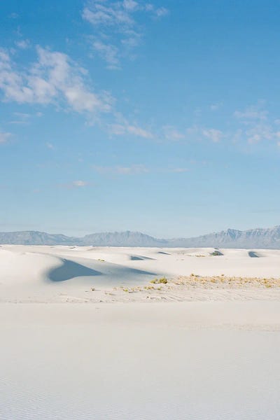New Mexico: White Sands New Mexico III by Bethany Young