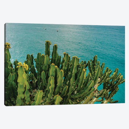 Amalfi Coast Cactus I Canvas Print #BTY195} by Bethany Young Canvas Artwork