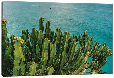 Amalfi Coast Cactus I Canvas Art Print - Campania Art