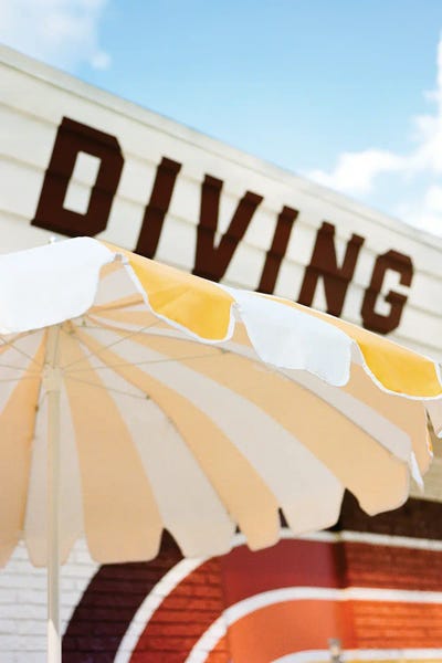 Tennessee: Tennessee Summer Swim by Bethany Young