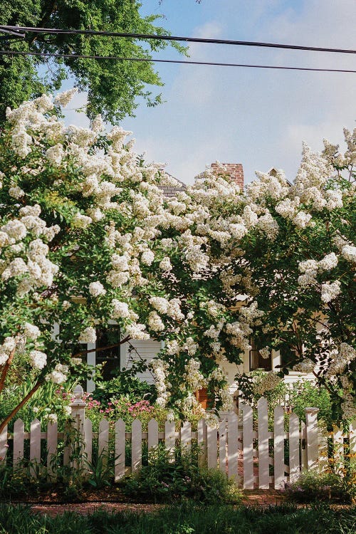 Atlanta Georgia VIII On Film by Bethany Young wall art