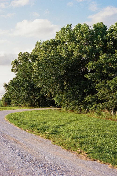 Newcastle Oklahoma On Film by Bethany Young wall art