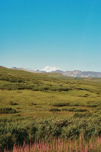Alaska: Denali National Park On Film by Bethany Young