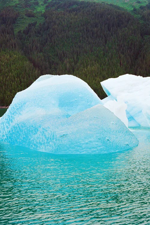 Juneau Alaska Iceberg On Film by Bethany Young wall art