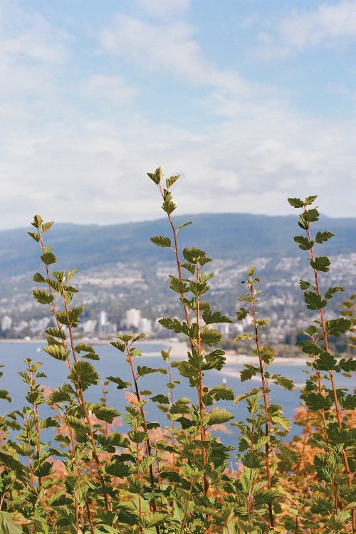 Vancouver Canada IV On Film