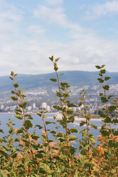 Fine Art Print: Vancouver Canada IV On Film by Bethany Young