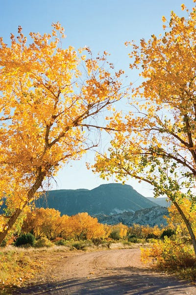Fine Art Print: Abiquiu In Autumn II On Film by Bethany Young