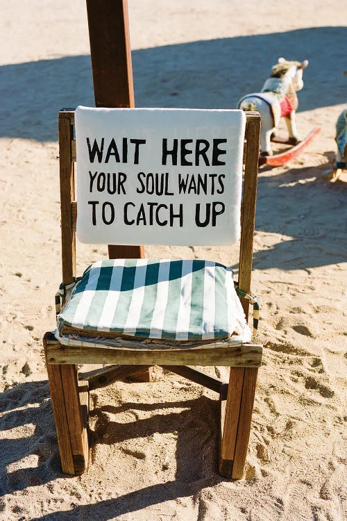 Joshua Tree California III On Film