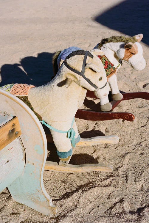 Joshua Tree California IV On Film by Bethany Young wall art