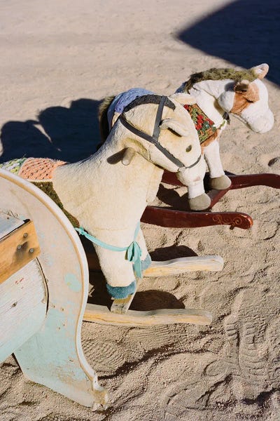Joshua Tree California IV On Film