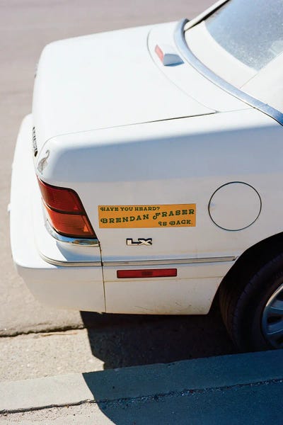 Joshua Tree National Park: Joshua Tree California VII On Film by Bethany Young